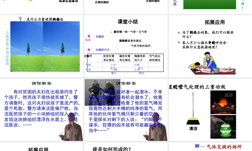 2014年秋七年级生物上册 第三单元 第四章 第二节 人体的呼吸（第一课时）课件