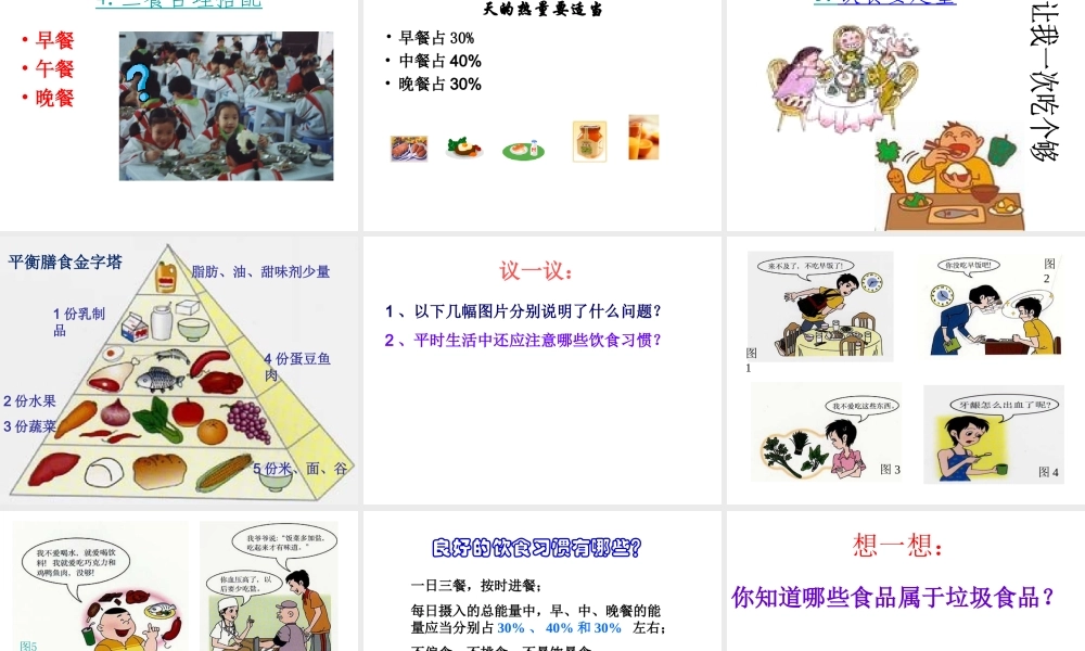 2014年秋七年级生物上册 第三章 第三节 合理的膳食课件 苏科版