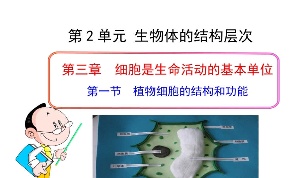 2014年秋七年级生物上册 第三章 第一节 植物细胞的结构和功能课件 苏教版