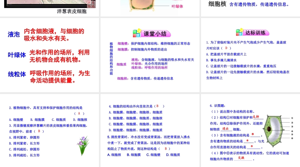 2014年秋七年级生物上册 第三章 第一节 植物细胞的结构和功能课件 苏教版