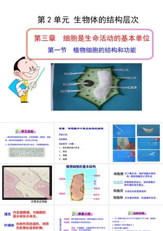 2014年秋七年级生物上册 第三章 第一节 植物细胞的结构和功能课件 苏教版
