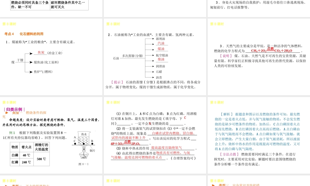 2014年中考化学一轮复习 第8课时 燃料的燃烧（查漏补缺+专题专练）课件 鲁教版