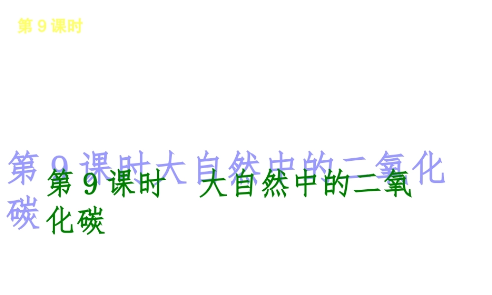 2014年中考化学一轮复习 第9课时 大自然中的二氧化碳（查漏补缺+专题专练）课件 鲁教版