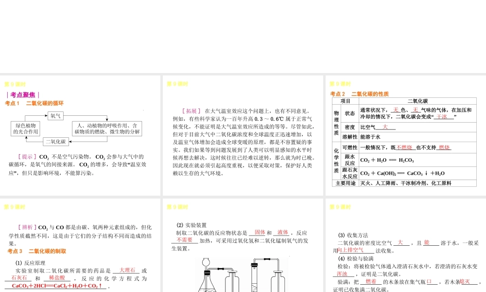 2014年中考化学一轮复习 第9课时 大自然中的二氧化碳（查漏补缺+专题专练）课件 鲁教版
