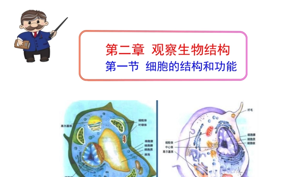 2014年秋七年级生物上册 第一单元 第二章 第一节 细胞的结构与功能课件 （新版）济南版