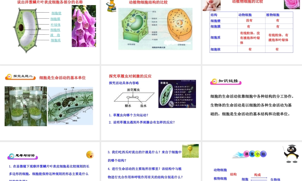 2014年秋七年级生物上册 第一单元 第二章 第一节 细胞的结构与功能课件 （新版）济南版