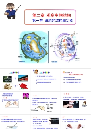 2014年秋七年级生物上册 第一单元 第二章 第一节 细胞的结构与功能课件 （新版）济南版