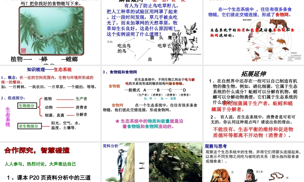 2014年秋七年级生物上册 第一单元 第一章 第二节 生物与环境组成生态系统课件 （新版）新人教版