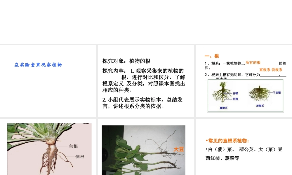 2014年秋七年级生物上册 第一节 在实验室里观察植物课件 冀教版