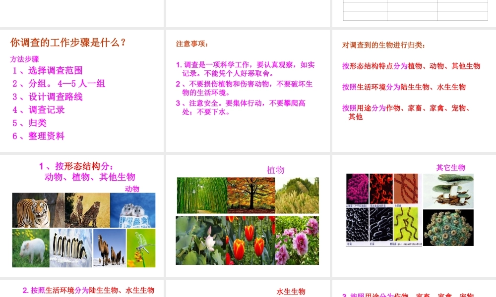 2014年秋七年级生物上册 第一章 第二节 调查我们身边的生物课件 新人教版