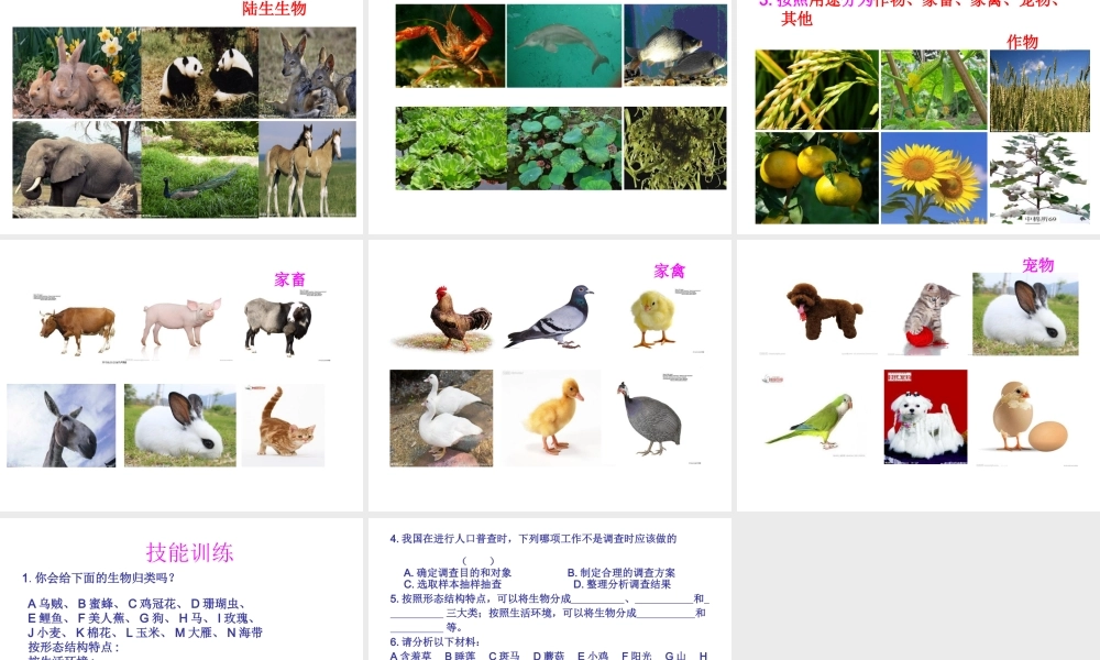 2014年秋七年级生物上册 第一章 第二节 调查我们身边的生物课件 新人教版