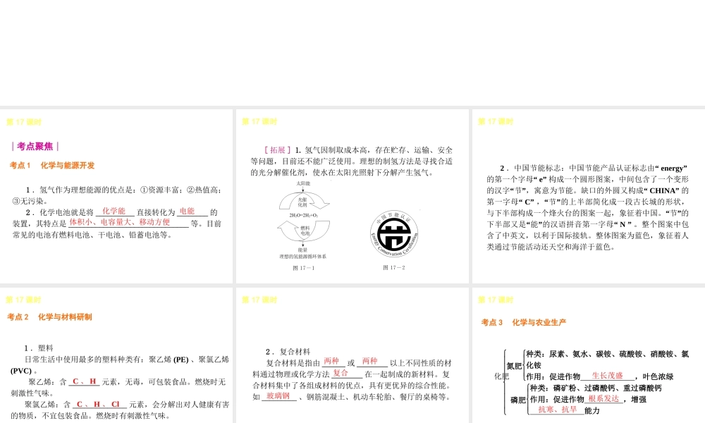 2014年中考化学一轮复习 第17课时 化学与社会发展（查漏补缺+专题专练）课件 鲁教版