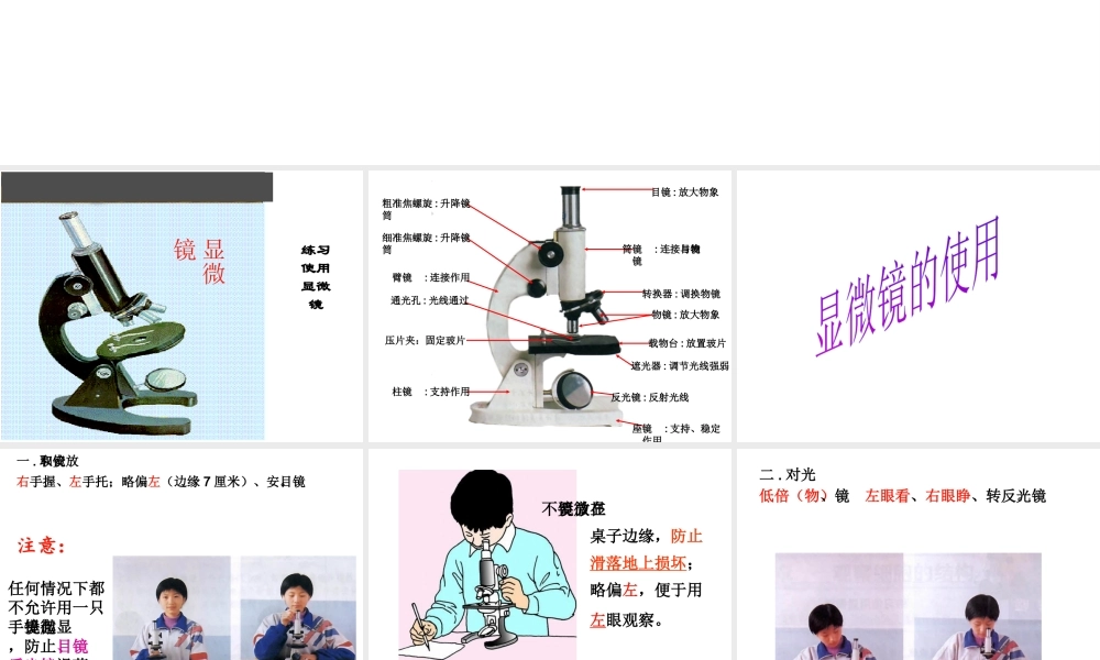 2014年秋七年级生物上册 第一章 第四节 生物学的研究工具课件 （新版）济南版