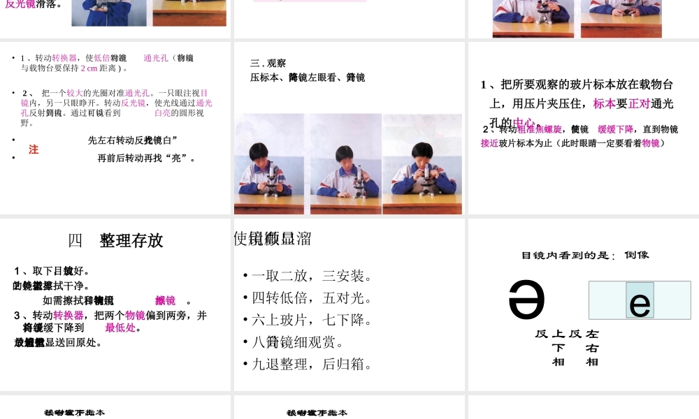 2014年秋七年级生物上册 第一章 第四节 生物学的研究工具课件 （新版）济南版