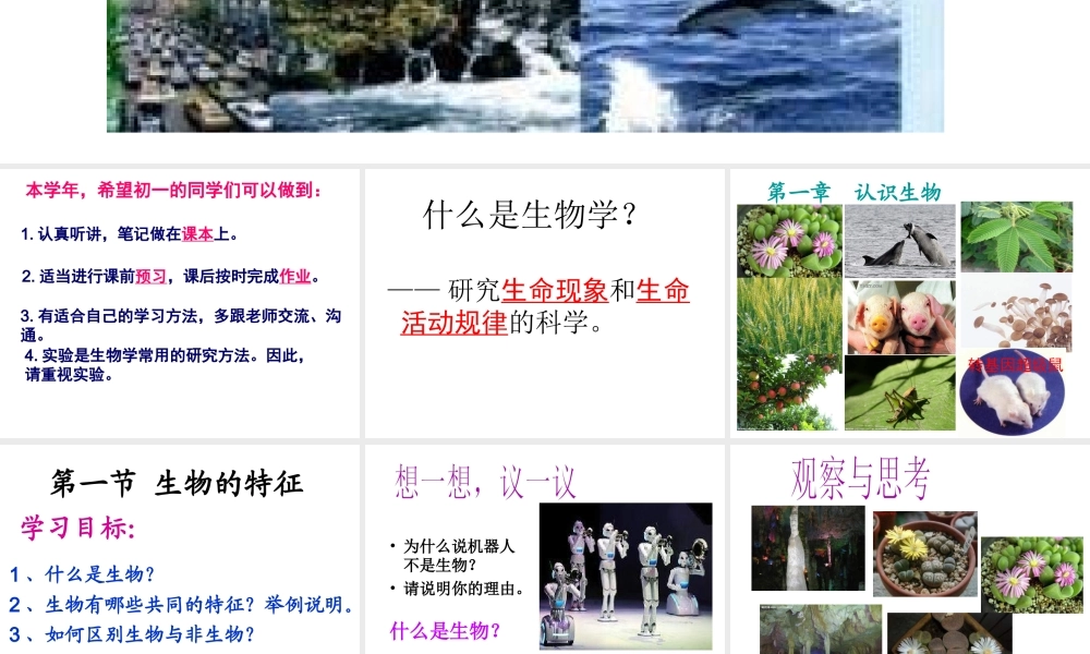 2014年秋七年级生物上册 第一章 第一节 生物的特征课件 新人教版