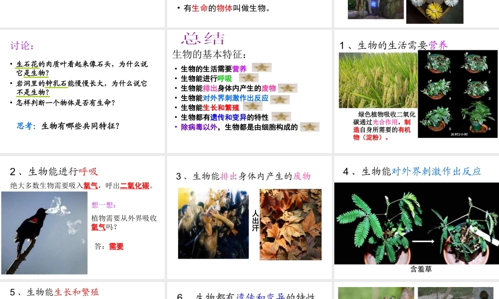 2014年秋七年级生物上册 第一章 第一节 生物的特征课件 新人教版