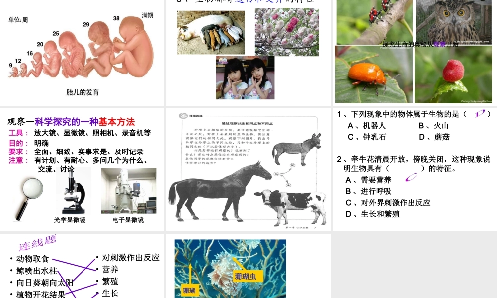 2014年秋七年级生物上册 第一章 第一节 生物的特征课件 新人教版