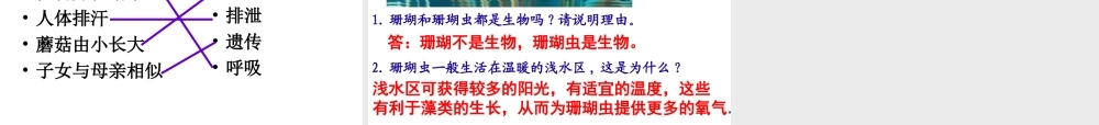 2014年秋七年级生物上册 第一章 第一节 生物的特征课件 新人教版