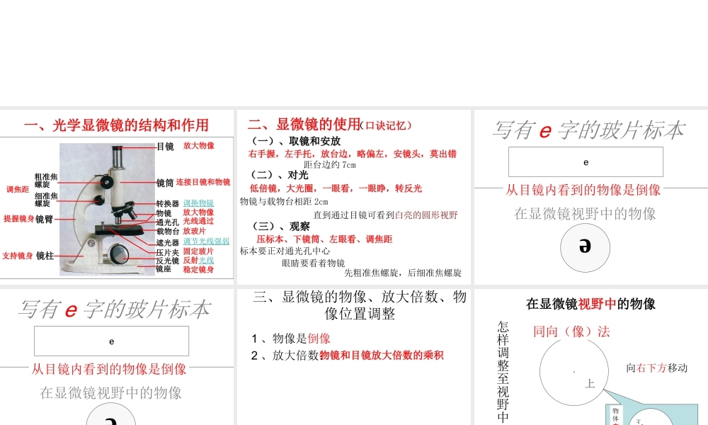 2014年秋七年级生物上册 显微镜的构造和使用课件 新人教版
