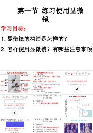 2014年秋七年级生物上册 显微镜的构造和使用课件 新人教版