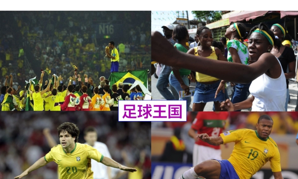 2014七年级地理下册 第九章 第二节 巴西课件 新人教版