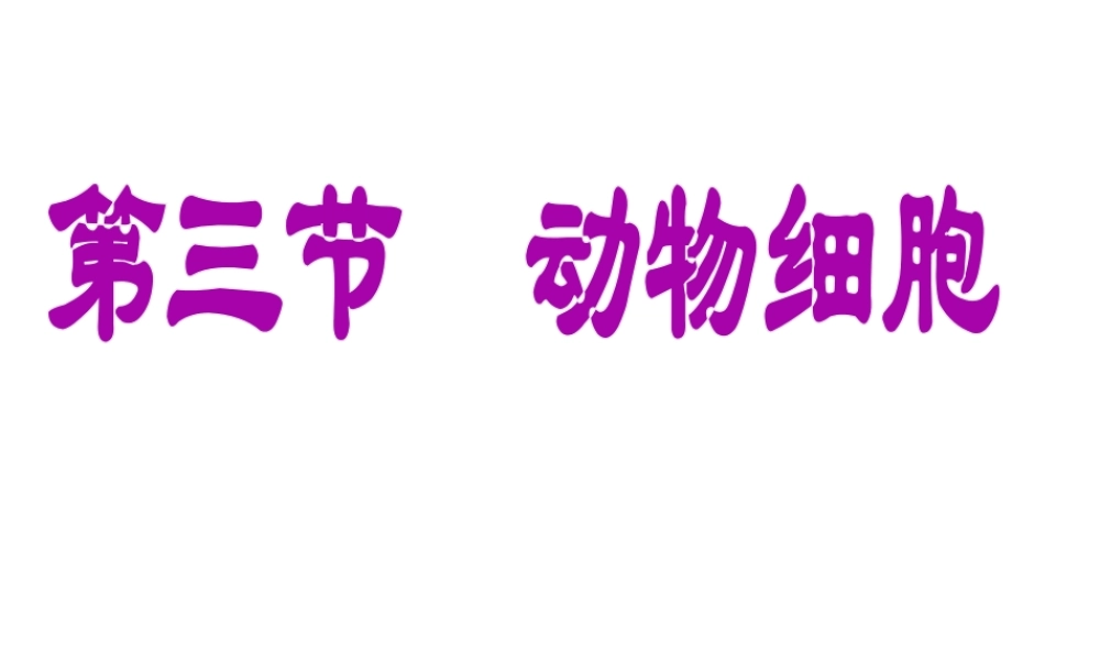 2014年秋七年级生物上册第二单元 第一章 第三节 动物细胞课件 新人教版