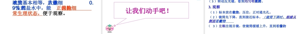 2014年秋七年级生物上册第二单元 第一章 第三节 动物细胞课件 新人教版