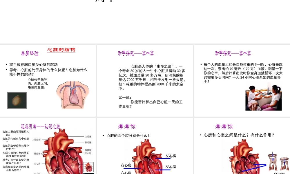 2014年秋七年级生物下册 第四章 第三节 输送血液的泵—心脏课件 新人教版