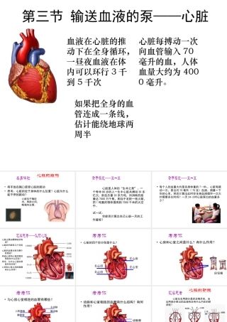 2014年秋七年级生物下册 第四章 第三节 输送血液的泵—心脏课件 新人教版