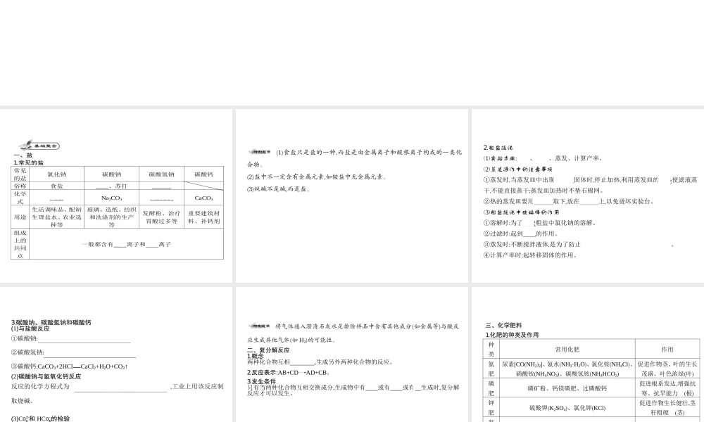 2014九年级化学下册 第十一单元 盐　化肥（基础整合+考点聚焦）同步课件 新人教版
