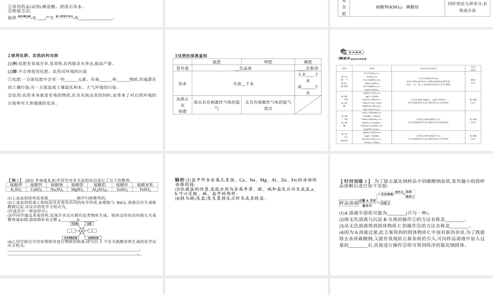2014九年级化学下册 第十一单元 盐　化肥（基础整合+考点聚焦）同步课件 新人教版