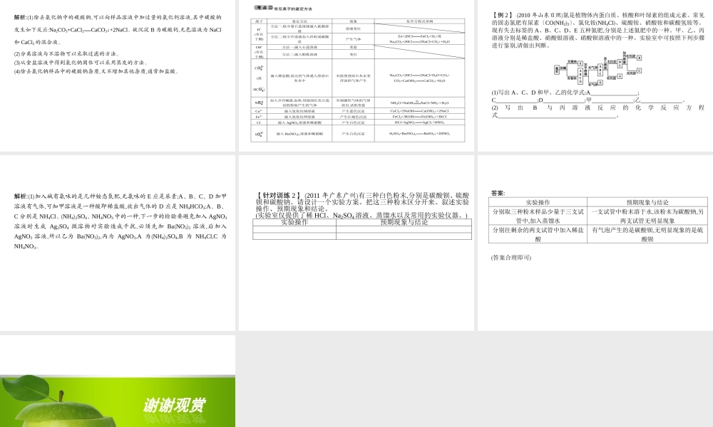 2014九年级化学下册 第十一单元 盐　化肥（基础整合+考点聚焦）同步课件 新人教版