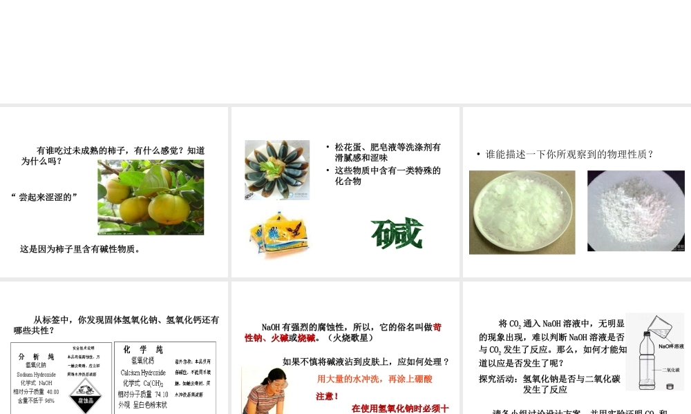 2014九年级化学下册《常见的酸和碱（第4课时）教学课件 （新版）新人教版