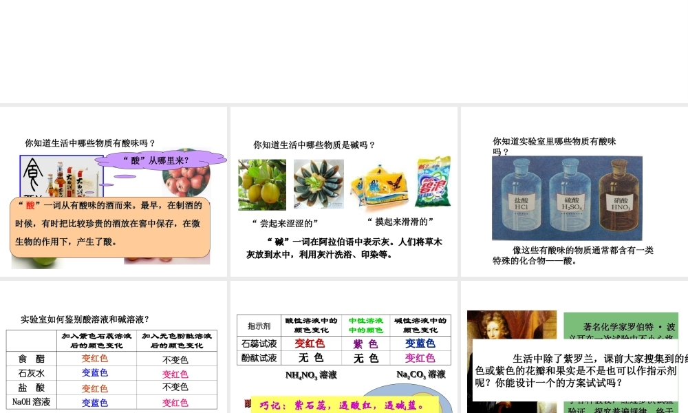 2014九年级化学下册《常见的酸和碱》（第1课时）教学课件 （新版）新人教版