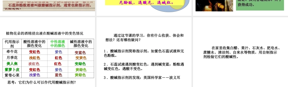 2014九年级化学下册《常见的酸和碱》（第1课时）教学课件 （新版）新人教版