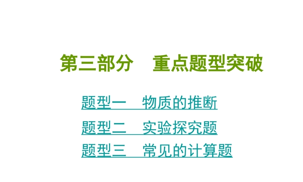 2014年中考化学总复习 重点题型突破课件