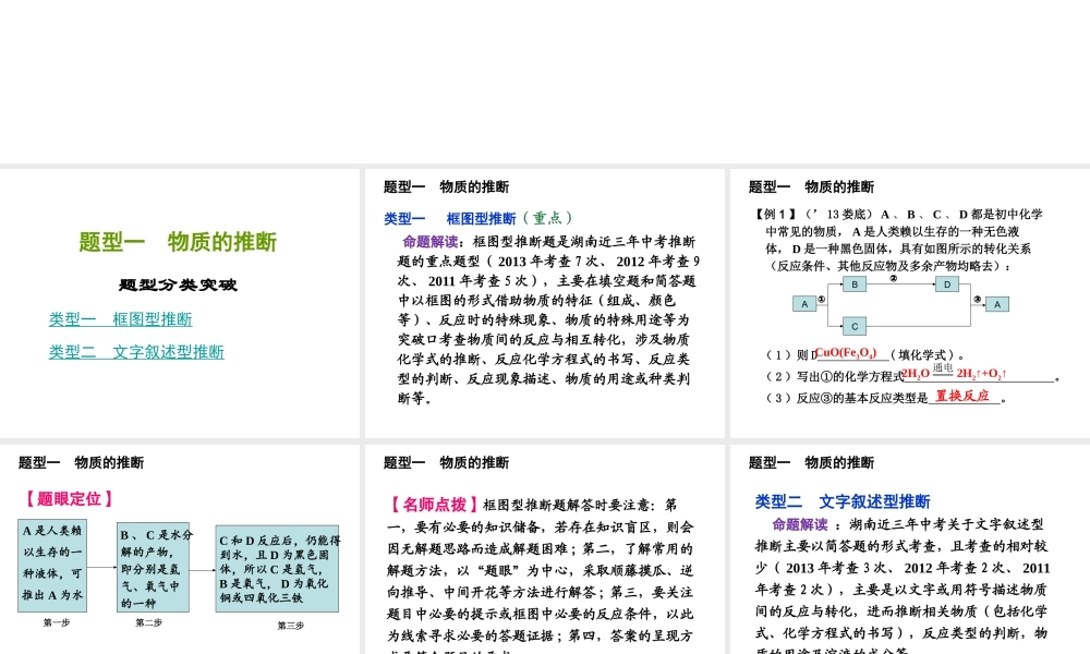 2014年中考化学总复习 重点题型突破课件