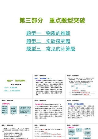2014年中考化学总复习 重点题型突破课件