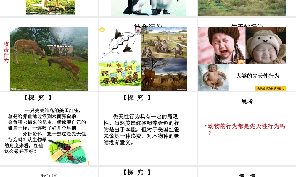 2014年东莞市北师大东莞石竹附属学校八年级生物上册 第二批教学能手评选 5.2.2 先天性行为和学习行为课件 （新版）新人教版