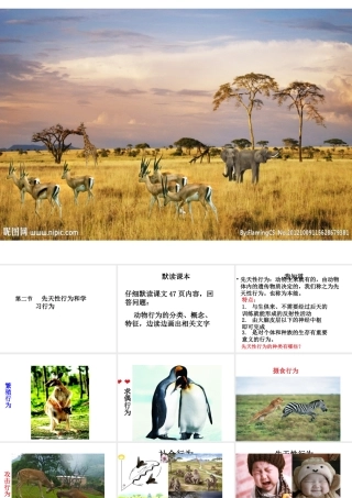 2014年东莞市北师大东莞石竹附属学校八年级生物上册 第二批教学能手评选 5.2.2 先天性行为和学习行为课件 （新版）新人教版