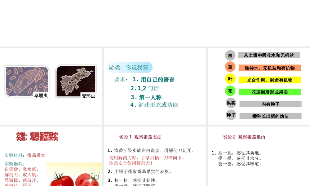 2014江苏省南京市七年级生物上册 第2单元 第4章 第2节 多细胞生物体的组成课件 苏教版