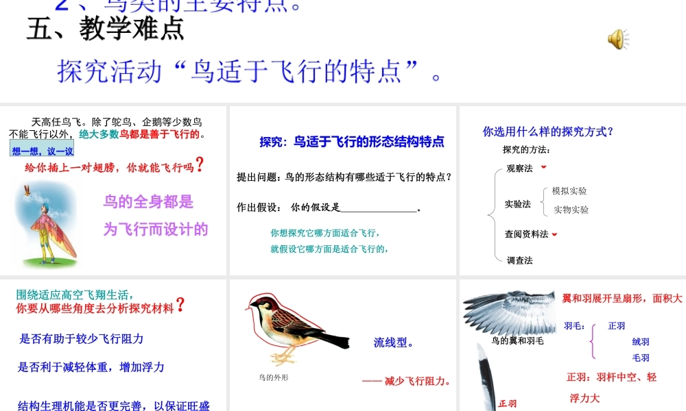 2014年东莞市东莞市沙田广荣中学八年级生物上册 第二批教学能手评选 5.1.6 鸟（第2课时）课件 （新版）新人教版