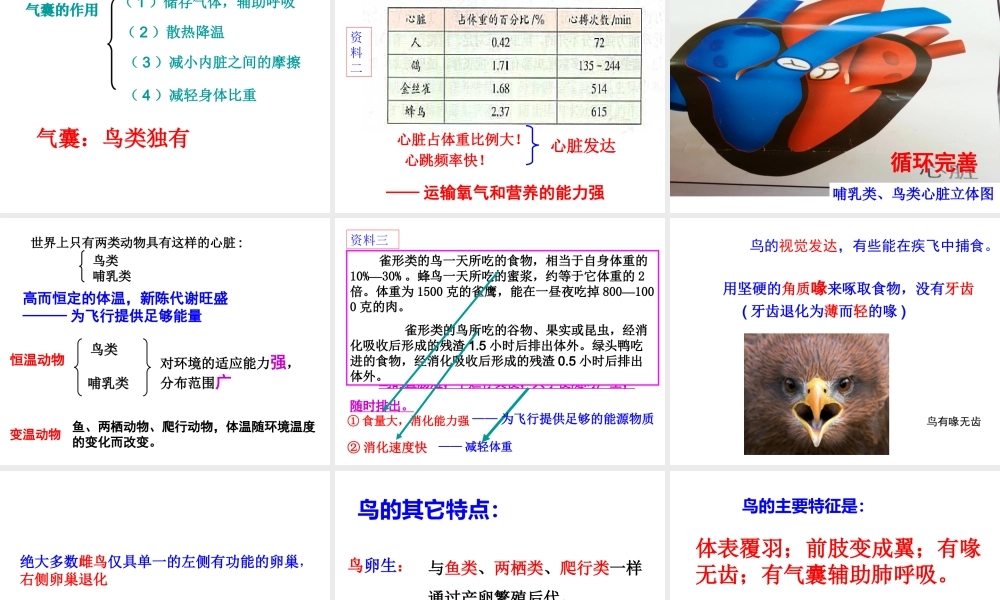 2014年东莞市东莞市沙田广荣中学八年级生物上册 第二批教学能手评选 5.1.6 鸟（第2课时）课件 （新版）新人教版