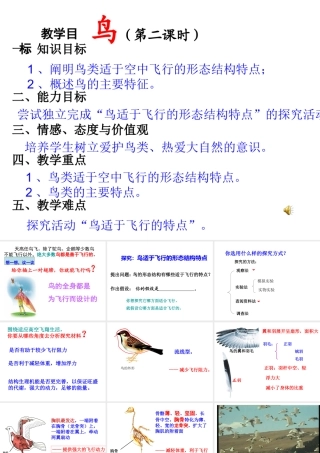 2014年东莞市东莞市沙田广荣中学八年级生物上册 第二批教学能手评选 5.1.6 鸟（第2课时）课件 （新版）新人教版