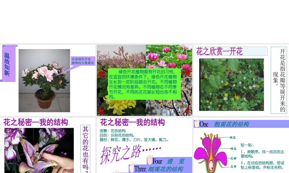 2014江苏省南京市七年级生物上册 植物的开花和结果课件 苏教版