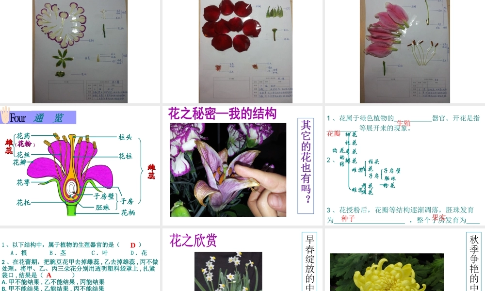 2014江苏省南京市七年级生物上册 植物的开花和结果课件 苏教版