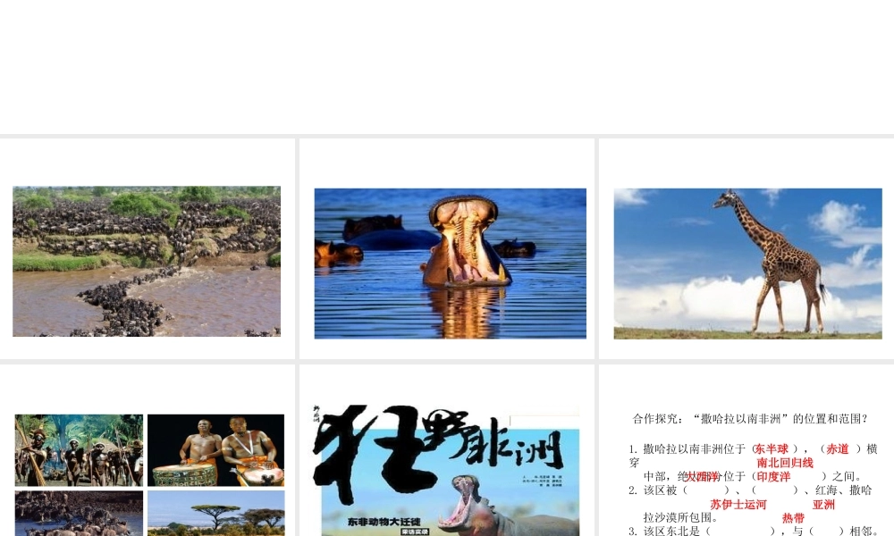 2014七年级地理下册《8.3撒哈拉以南的非洲》同步教学课件 （新版）新人教版