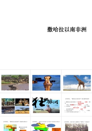 2014七年级地理下册《8.3撒哈拉以南的非洲》同步教学课件 （新版）新人教版