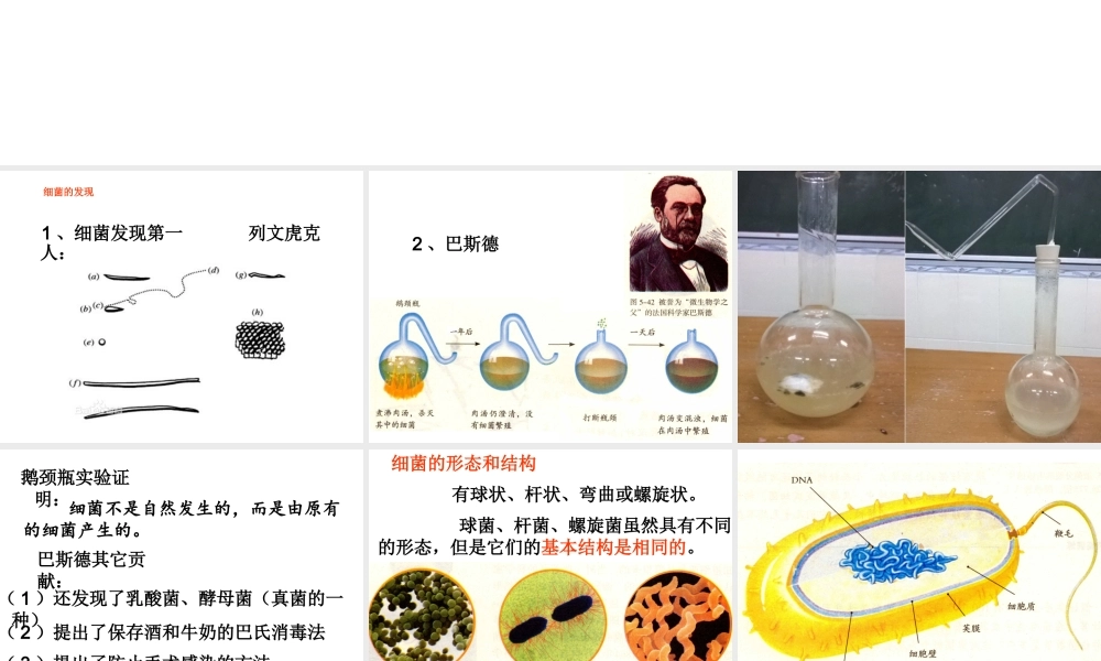 2014年东莞市虎门第五中学八年级生物上册 第二批教学能手评选 5.4.2 细菌课件 （新版）新人教版