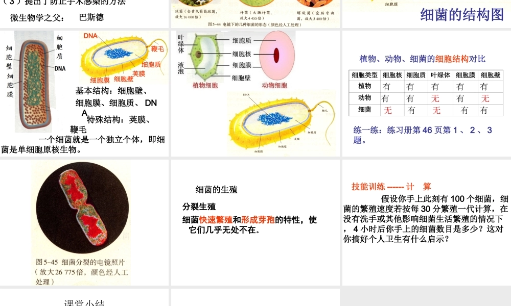 2014年东莞市虎门第五中学八年级生物上册 第二批教学能手评选 5.4.2 细菌课件 （新版）新人教版